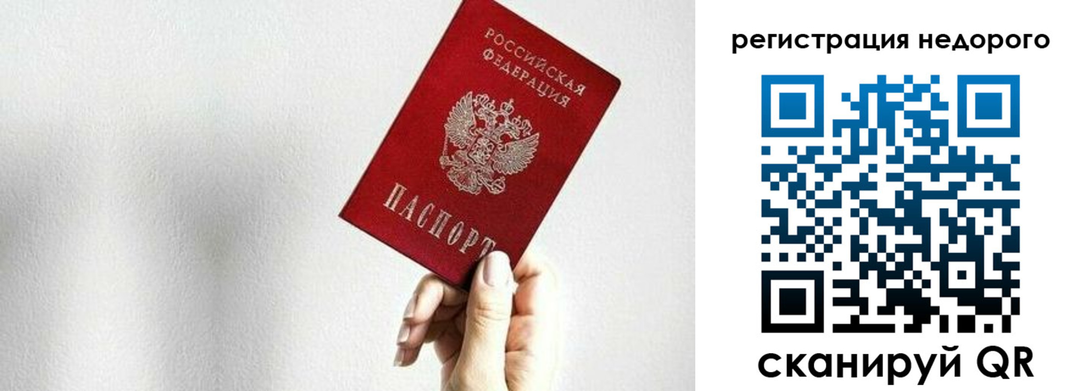 прописка в квартире в Мытищах